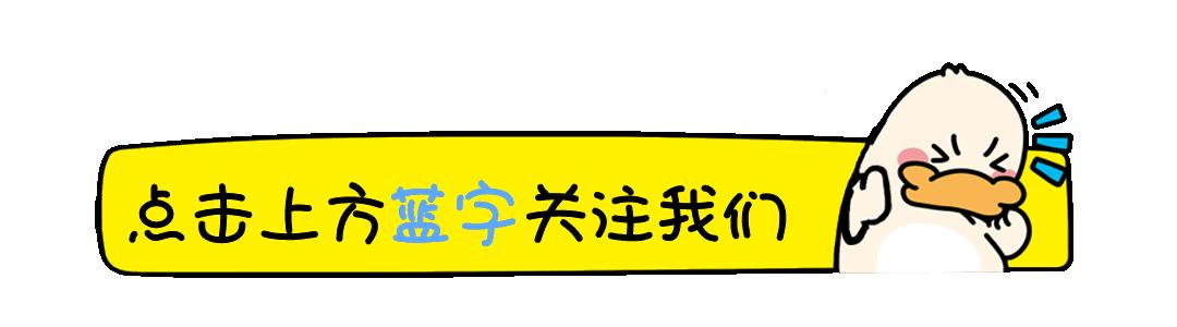 深度解析头条新闻的背景与运营机制，国企属性探讨