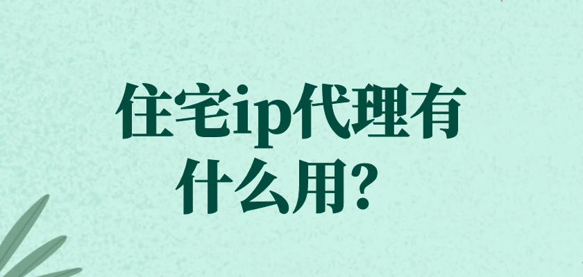 北极星动态住宅IP的优化与应用