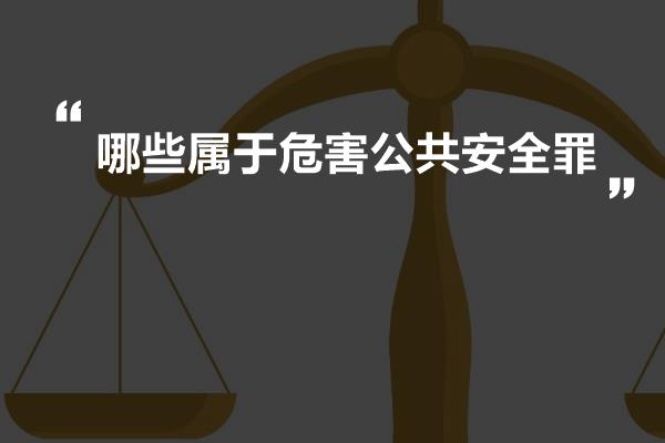 公共安全罪的深度解析与优化建议，罪名详解与建议措施