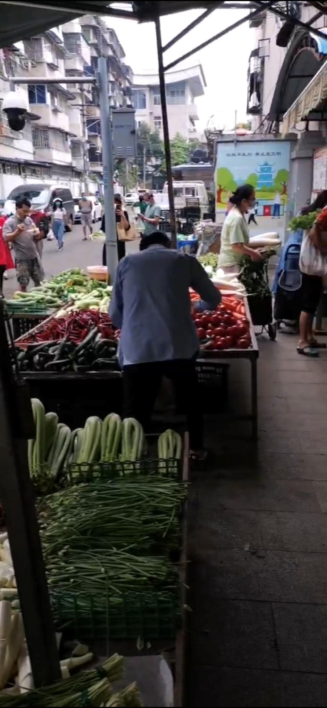 封控三年的深度解析与反思，真实目的与反思