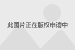 金狐投资叶荣添，引领投资新时代的翘楚领袖