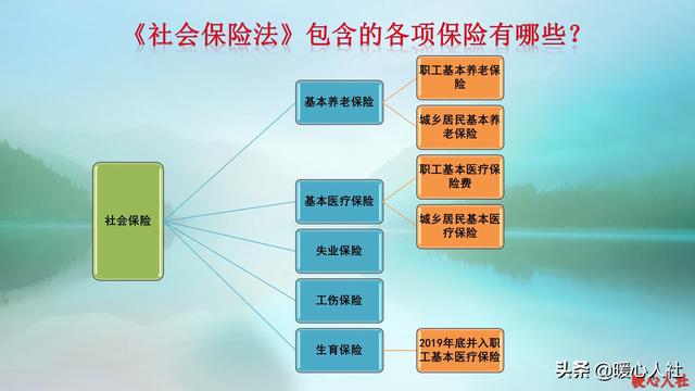 社会保障体系概览，内容涵盖与地位优化策略探究