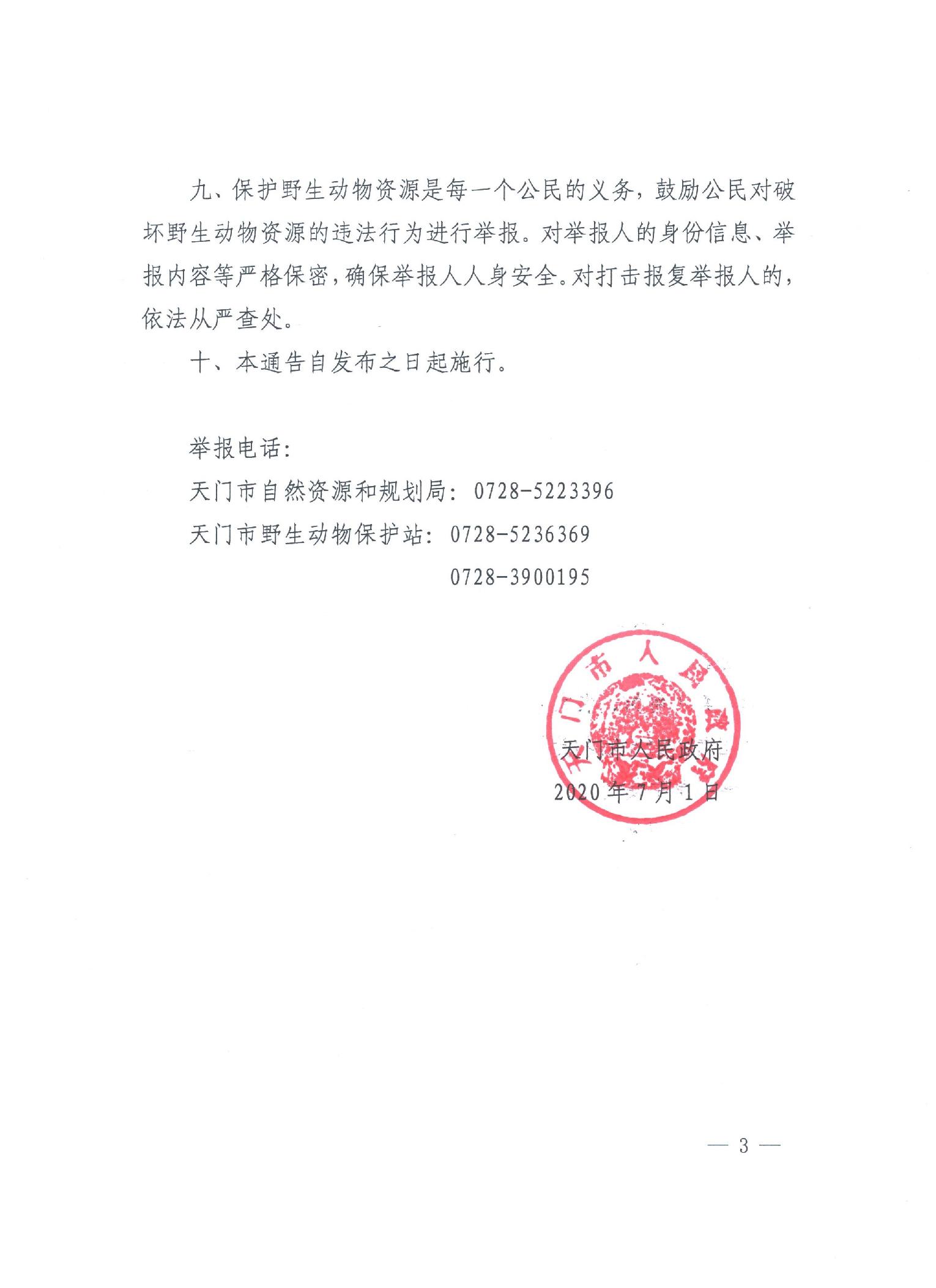 政府部门通知范文详解，一份标准通知标题指南