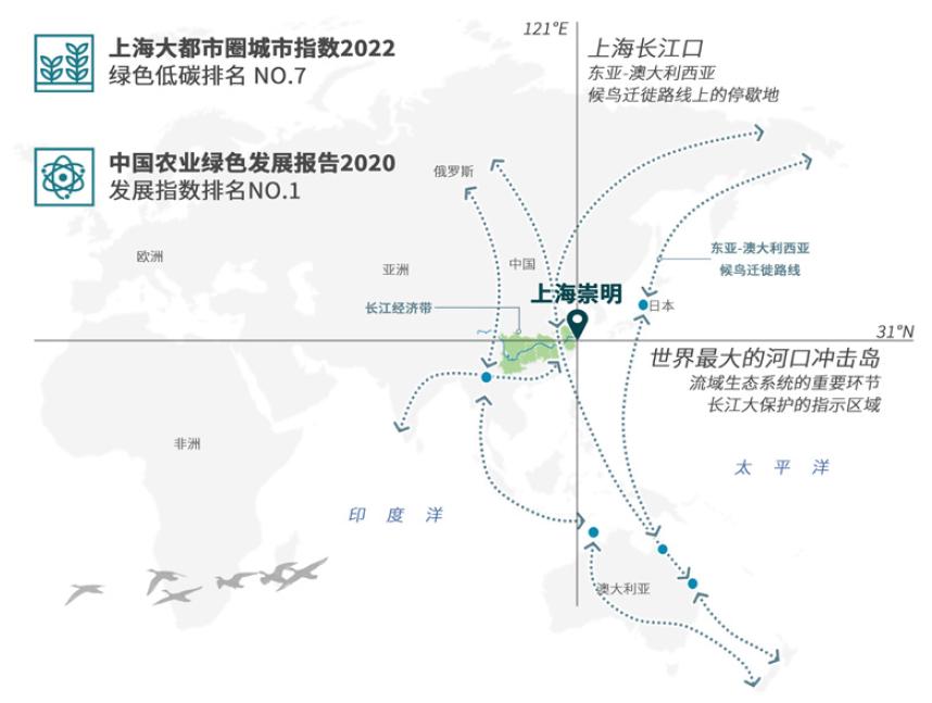 2024年11月16日 第28页