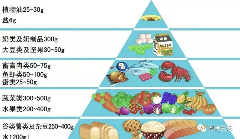 食物摄入金字塔，构建健康饮食的基石之道