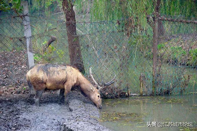 气候变化，自然与人为因素交织的复杂网络探究