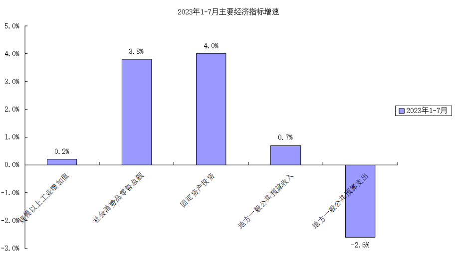 年度经济指标策略确定与优化探讨