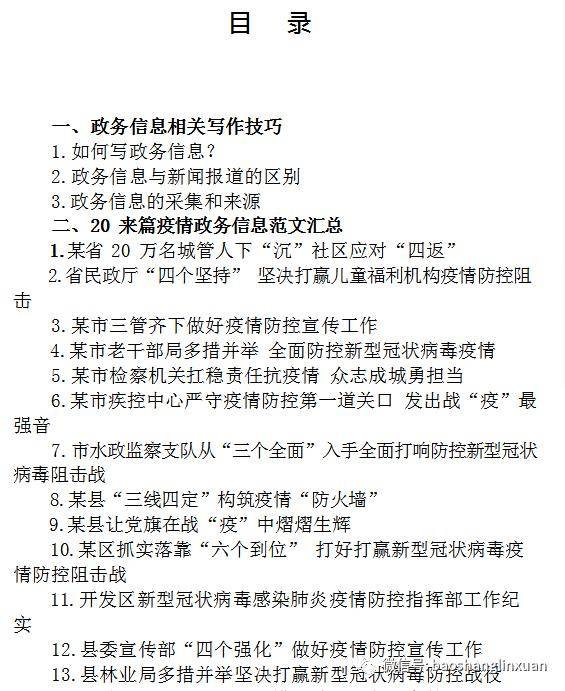 政府公告格式范文详解，权威指南与示例参考