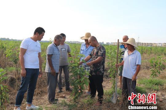 就业市场的历史演变与优化策略研究