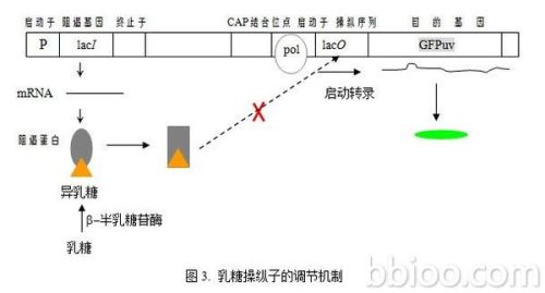 环境效应深度解析，概念、影响与优化策略探讨