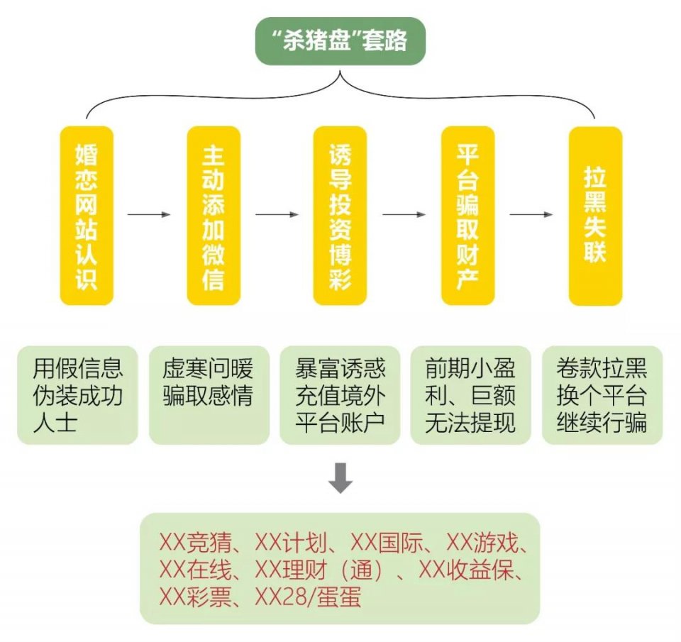 案件分类详解，从常见类型到优化策略的全方位解读