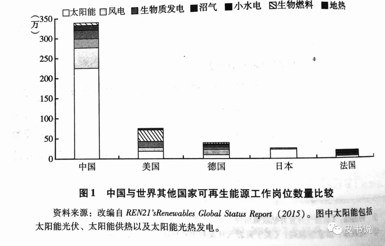 能源政策绿皮书，优化路径与实施策略详解