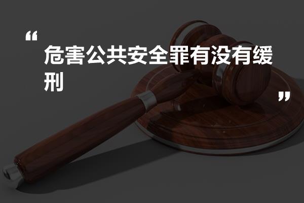 公共安全罪最轻判刑探讨，优化建议与改善方向