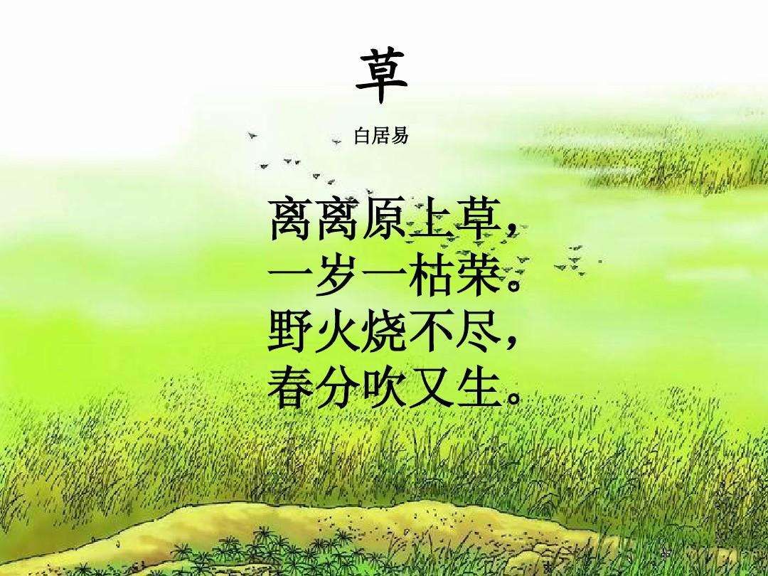 古诗中的生命力量，野火烧不尽，春风吹又生