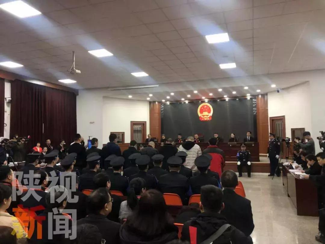 如何轻松查询案件进展，使用案件编号的详细指南