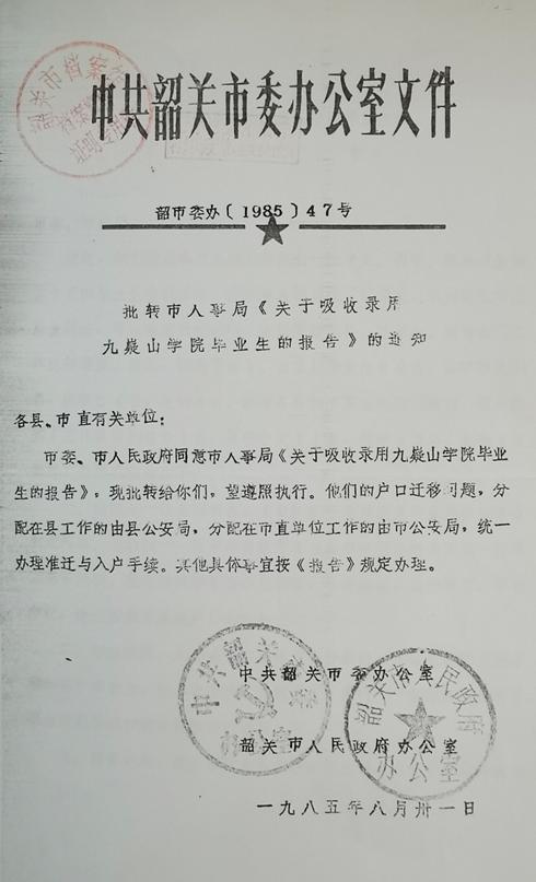 政府公文科室工作优化与策略提升探讨