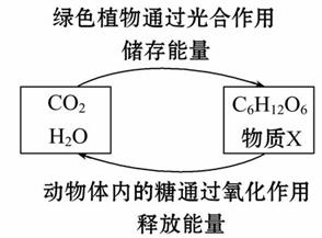 公共设施作用与价值提升，现代文明的必要元素