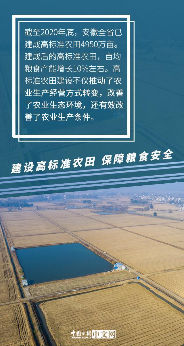 粮食安全与国家安全，紧密关联的纽带