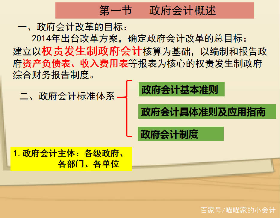 政府会计内容解析与优化探讨，策略与实践洞察