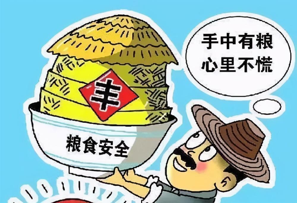 粮食安全面面观，挑战与解决之道探讨