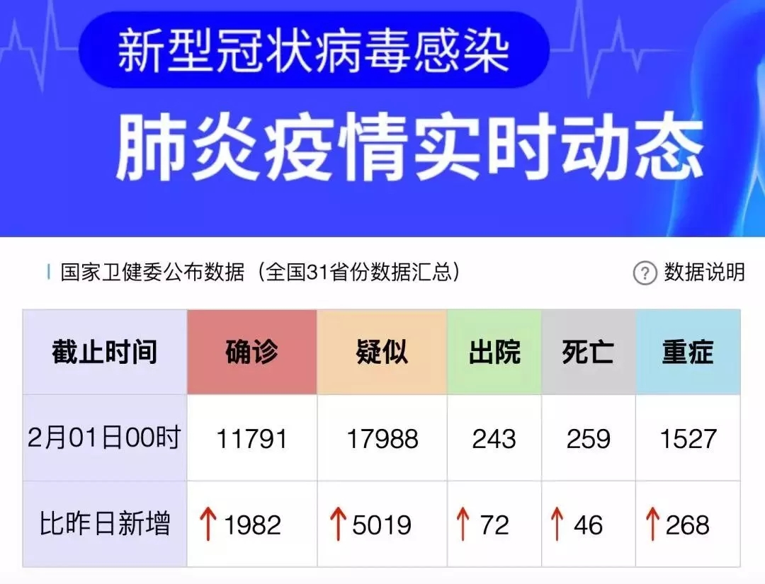 疫情起始时间深度剖析，共同铭记的日子与全球抗疫之路