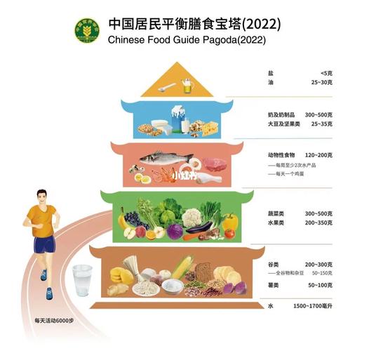 最新膳食宝塔图 2024，营养平衡与健康生活的指南