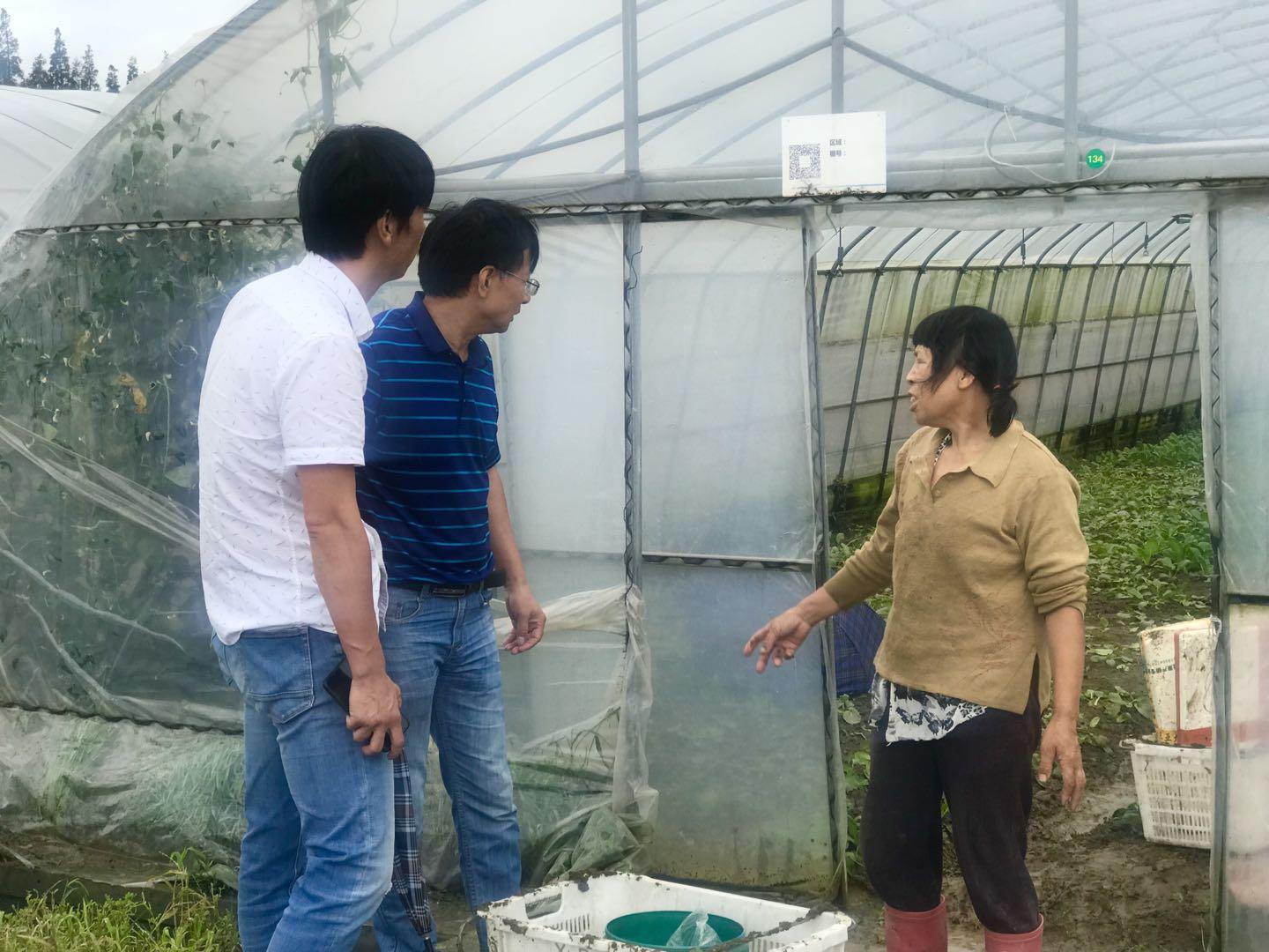 洪水灾害的挑战与应对，河湖泛滥、水涝倒灌的解决方案