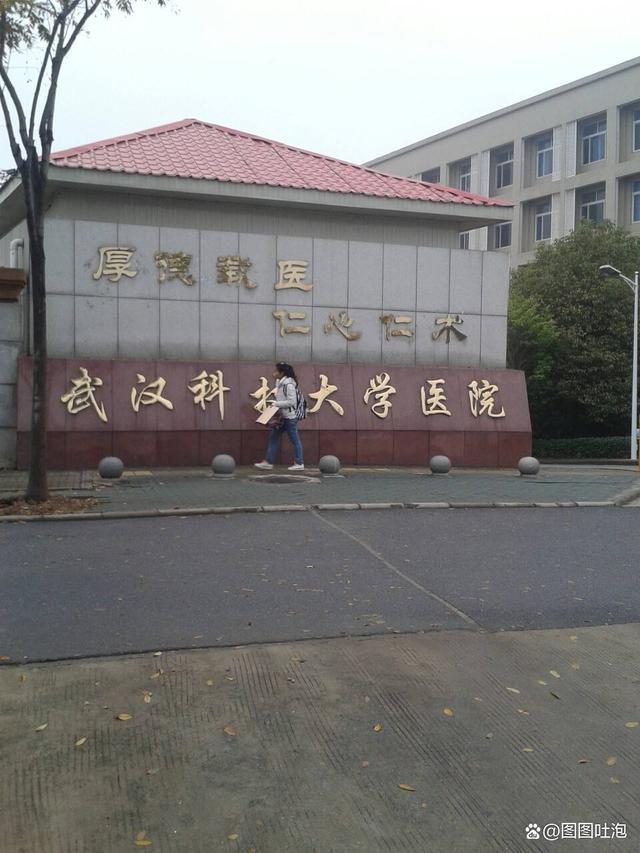 公共卫生与预防医学，构建健康社会的核心要素