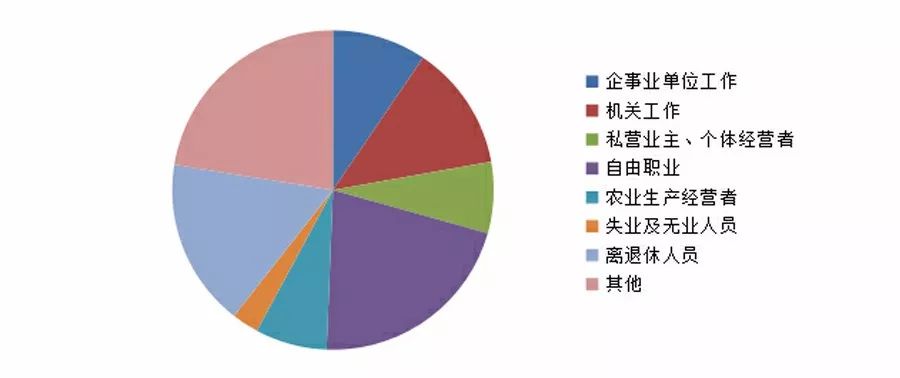 乡镇就业现状调研报告，分析现状，优化策略之道