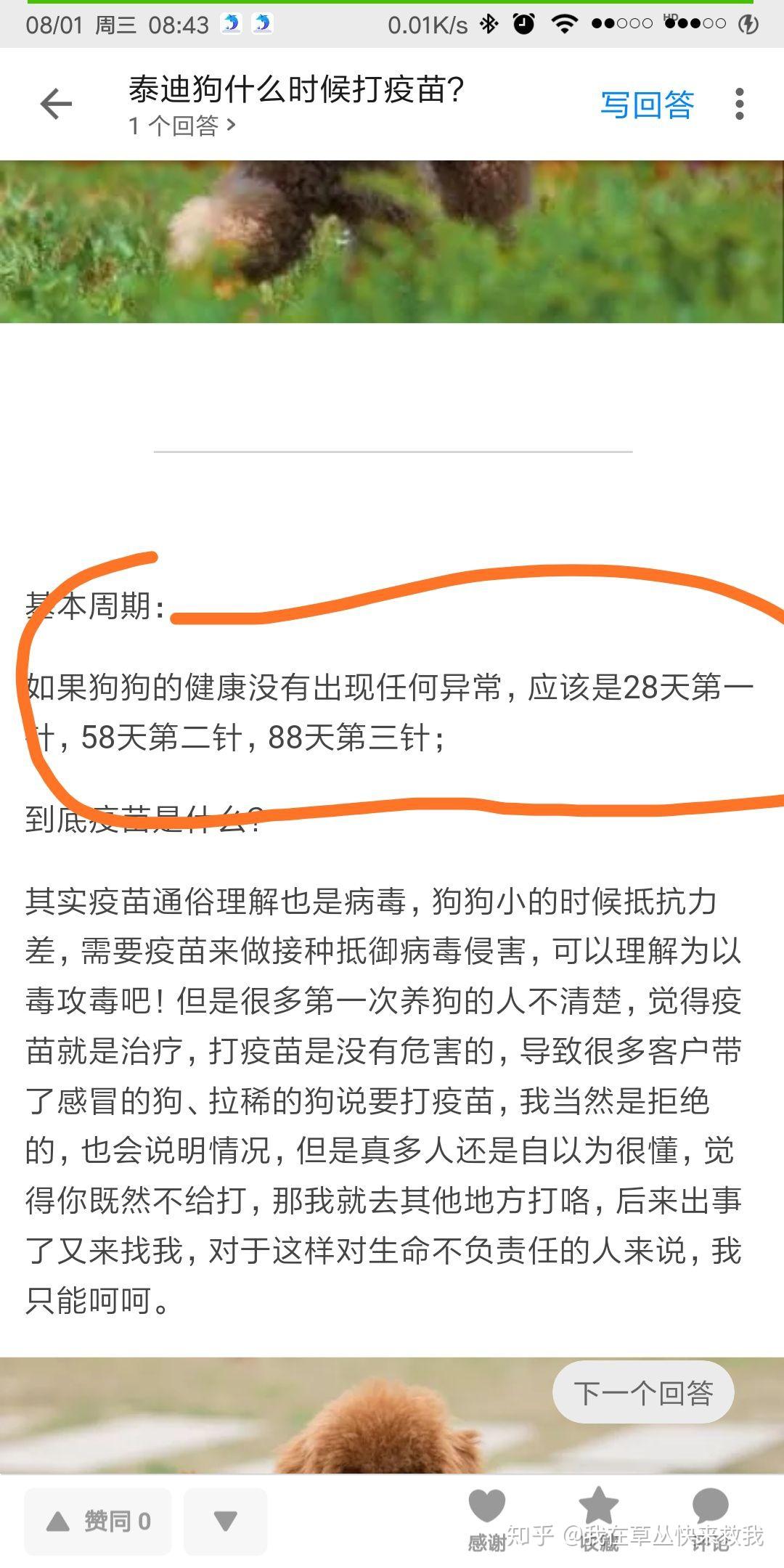 泰迪疫苗接种时间表详解，宠物健康保障的必备指南