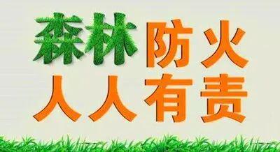 野外防火制度实施现状与改进措施探索