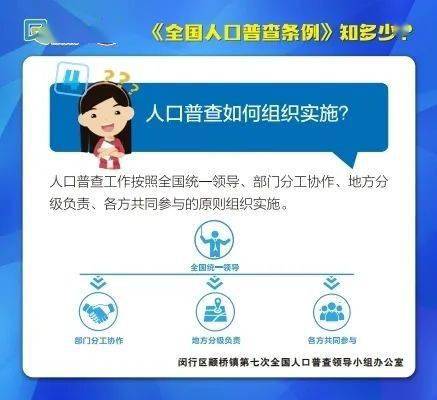 人口普查揭秘，调查流程全面解析