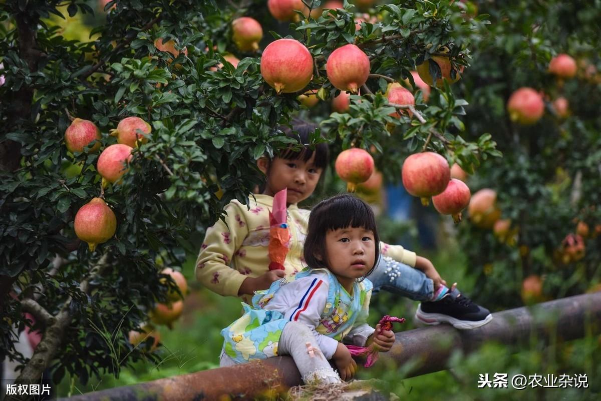 生态环境保护对策，优化策略与实践路径探索