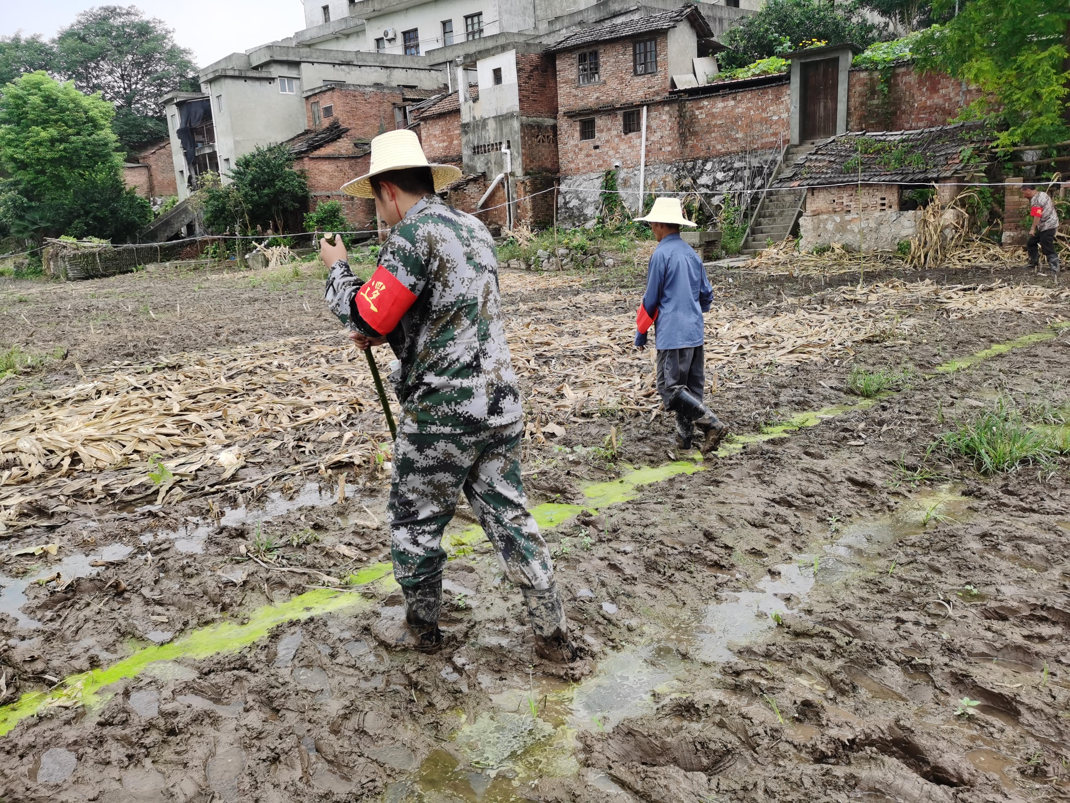 洪水肆虐下的城市挑战，全方位解析危机与应对策略