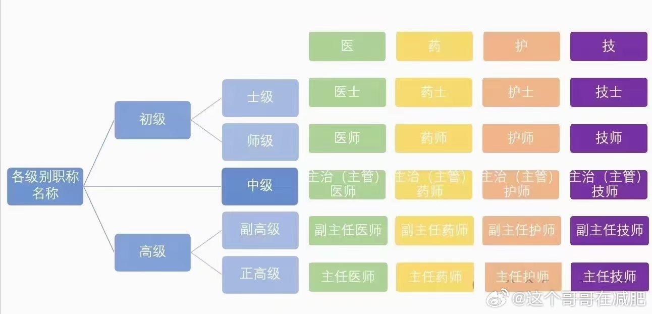 卫生行业管理类职称概述与优化探讨