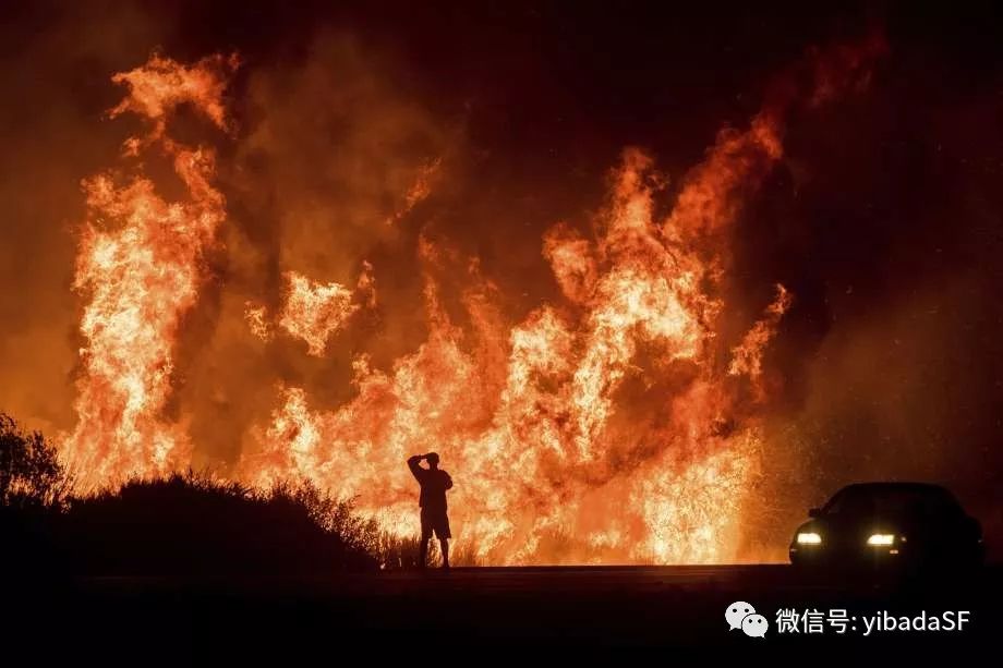 野火控制，守护自然的重要一环